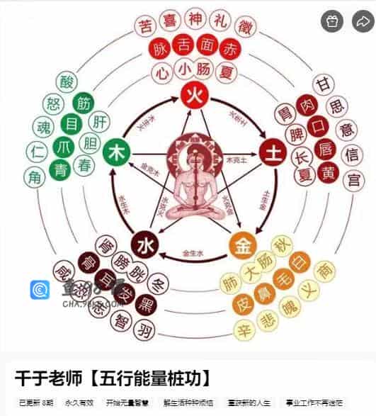 千于老师【五行能量桩功】
