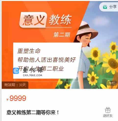 朱丹 意义教练第二期等你来