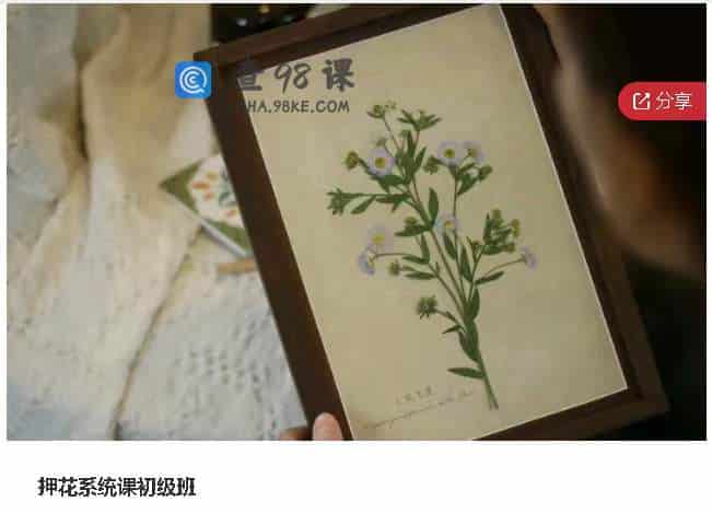 押花系统课初级班