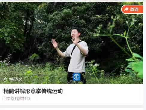 10959  精髓讲解形意拳传统运动