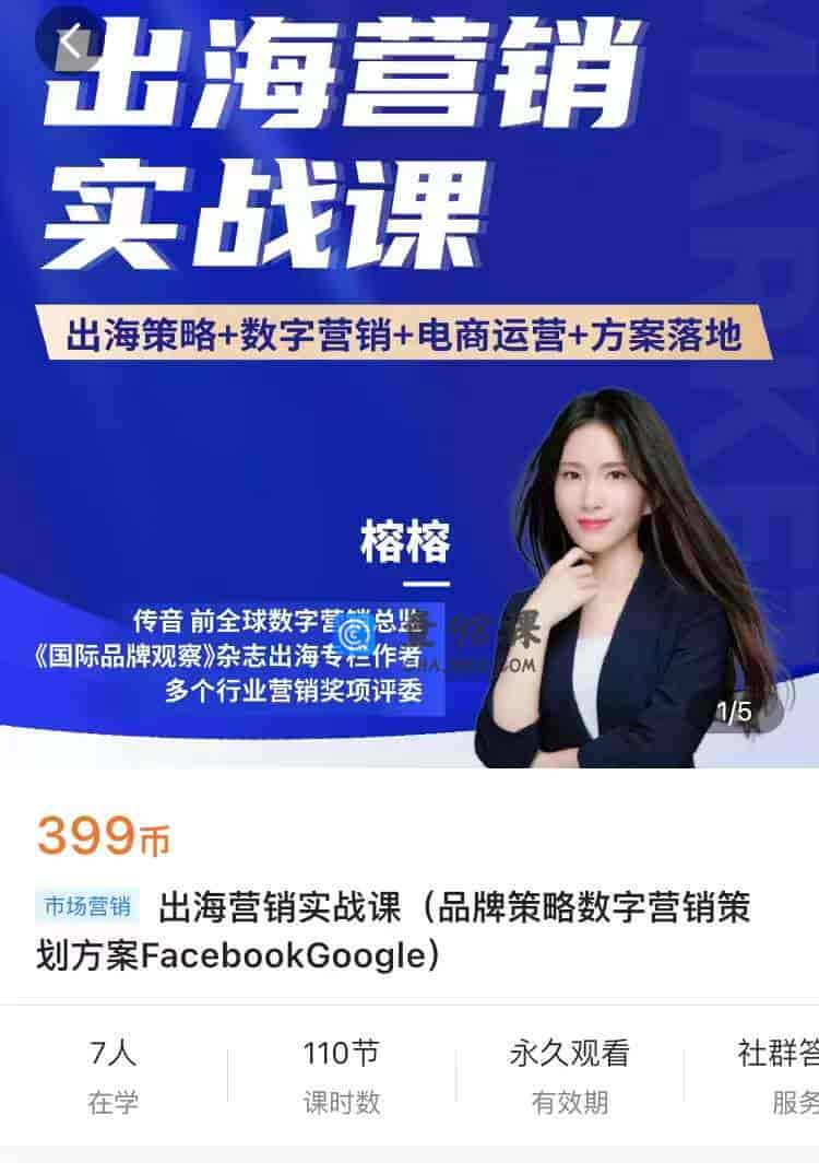 9028  出海营销实战课(品牌策略数字营销策划方案FacebookGoogle)