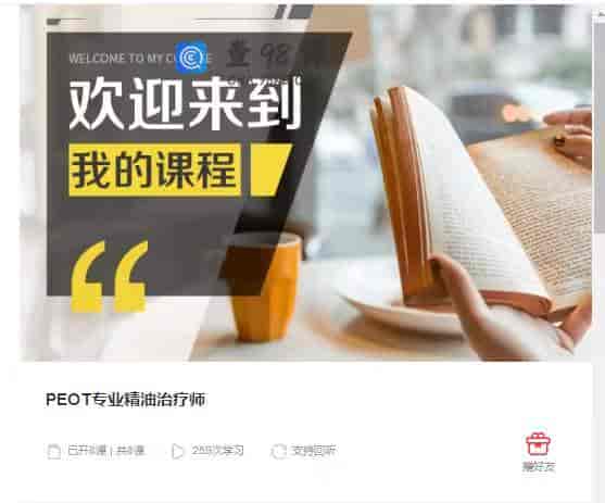 9087 PEOT专业精油治疗师