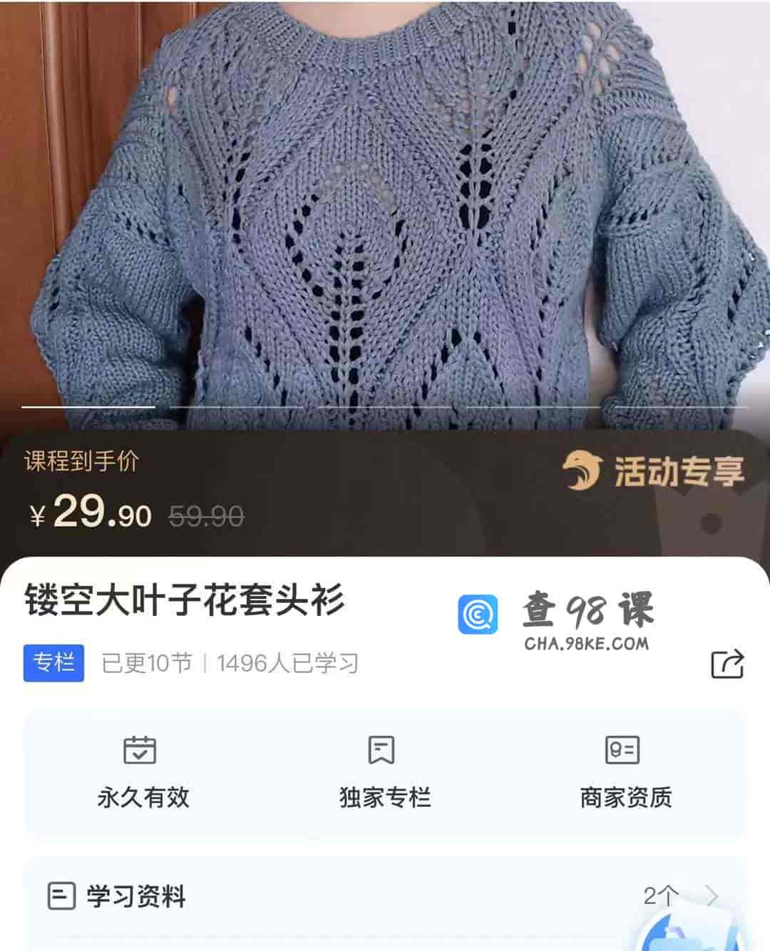 10338  镂空大叶子花套头衫