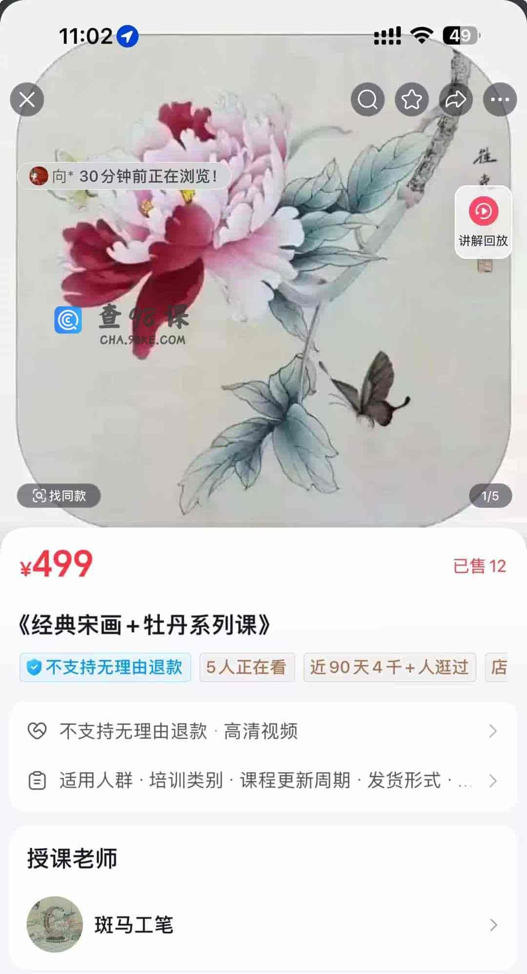 《经典宋画+牡丹系列课》