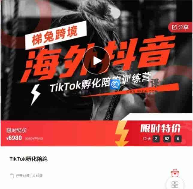 千聊 –   TikTok孵化陪跑