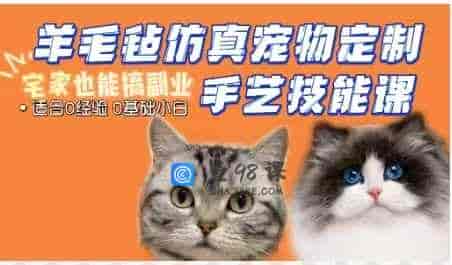 羊毛毡宠物定制训练营-53