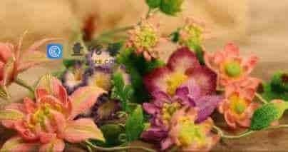 春如夏花主题课-9