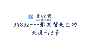 34832—张发智先生功夫说-13节