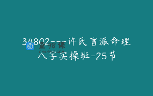 34802—许氏盲派命理八字实操班-25节