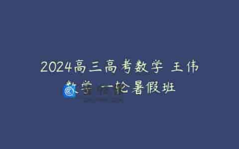 2024高三高考数学 王伟数学 一轮暑假班