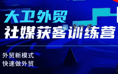 大卫老师·外贸社媒获客独家训练营，外贸新模式，快速做外贸
