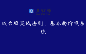 成长股实战法则，基本面价投系统