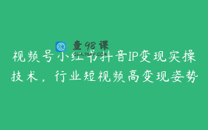 视频号小红书抖音IP变现实操技术，行业短视频高变现姿势