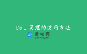 DS_灵摆的使用方法
