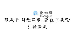 郎咸平 财经郎眼-透视中美轮胎特保案
