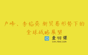 卢峰、李稻葵 新贸易形势下的全球战略展望
