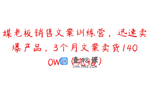 媒老板销售文案训练营，迅速卖爆产品，3个月文案卖货1400W+（完结）