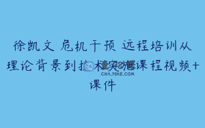 徐凯文 危机干预 远程培训从理论背景到技术实施课程视频+课件