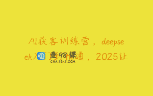 AI获客训练营，deepseek入门到精通，2025让