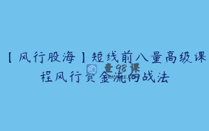 【风行股海】短线前八量高级课程风行资金流向战法