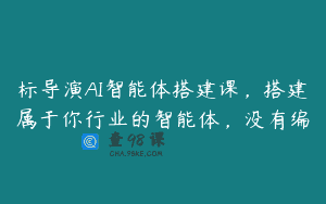 标导演AI智能体搭建课，搭建属于你行业的智能体，没有编