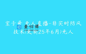 宝子哥・无人直播-非实时防风技术(更新25年6月)无人