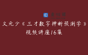 文元少《三才数字神断预测学》视频讲座16集