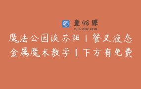 魔法公园谈苏阳丨餐叉液态金属魔术教学【下方有免费试看】 _ 魔法公园