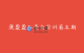 鹿盈盈私董会密训第五期