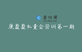 鹿盈盈私董会密训第一期
